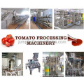 Canned tomato paste complete equipment